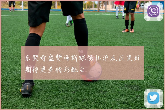 东契奇盛赞海斯球场化学反应良好期待更多精彩配合