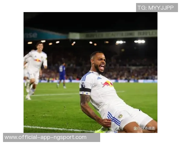 利兹联球迷两度向热刺球员投掷物品或将遭遇高额罚款